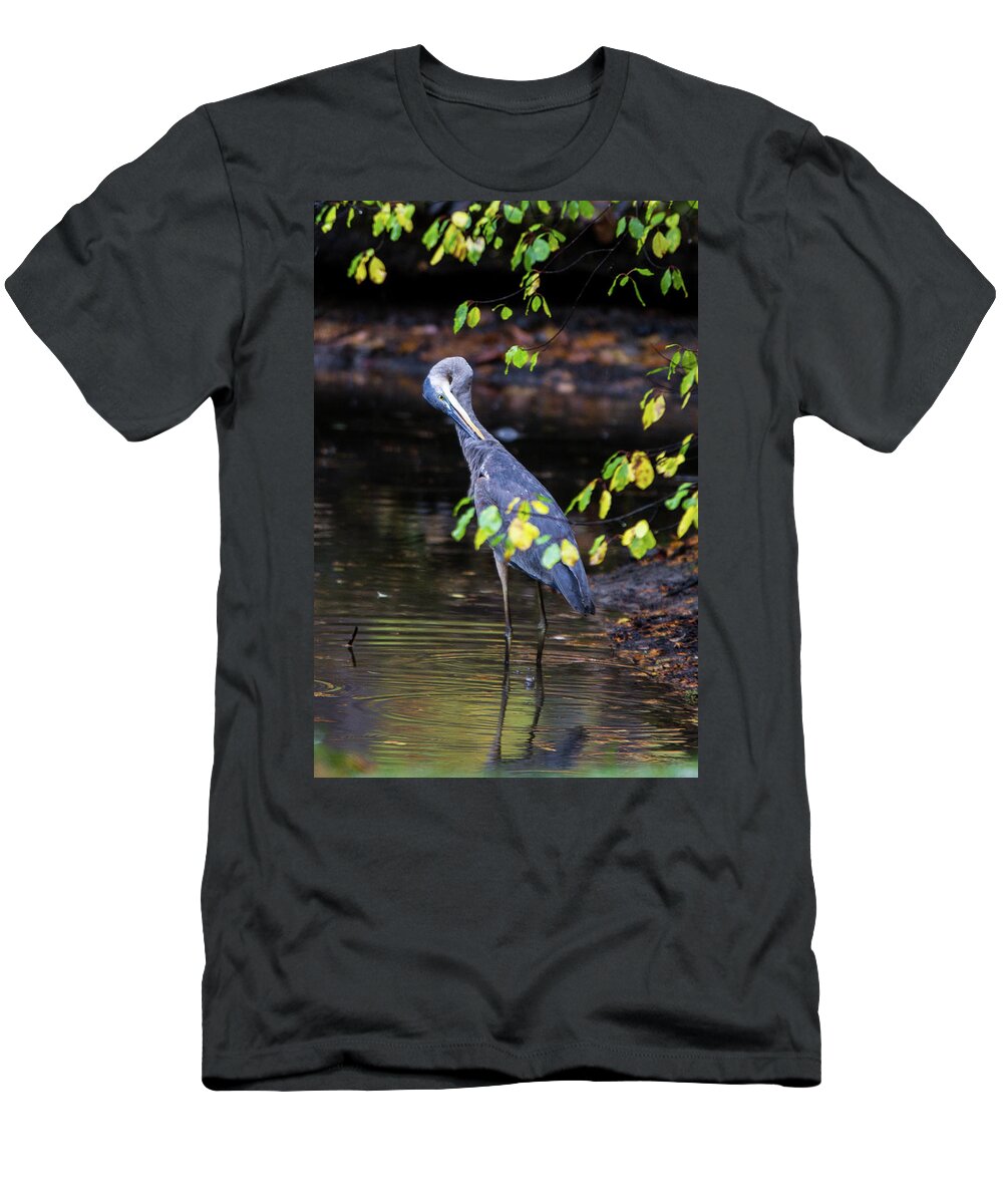 Great Blue Heron T-Shirt featuring the photograph Great Blue Heron with an itch by Darryl Hendricks