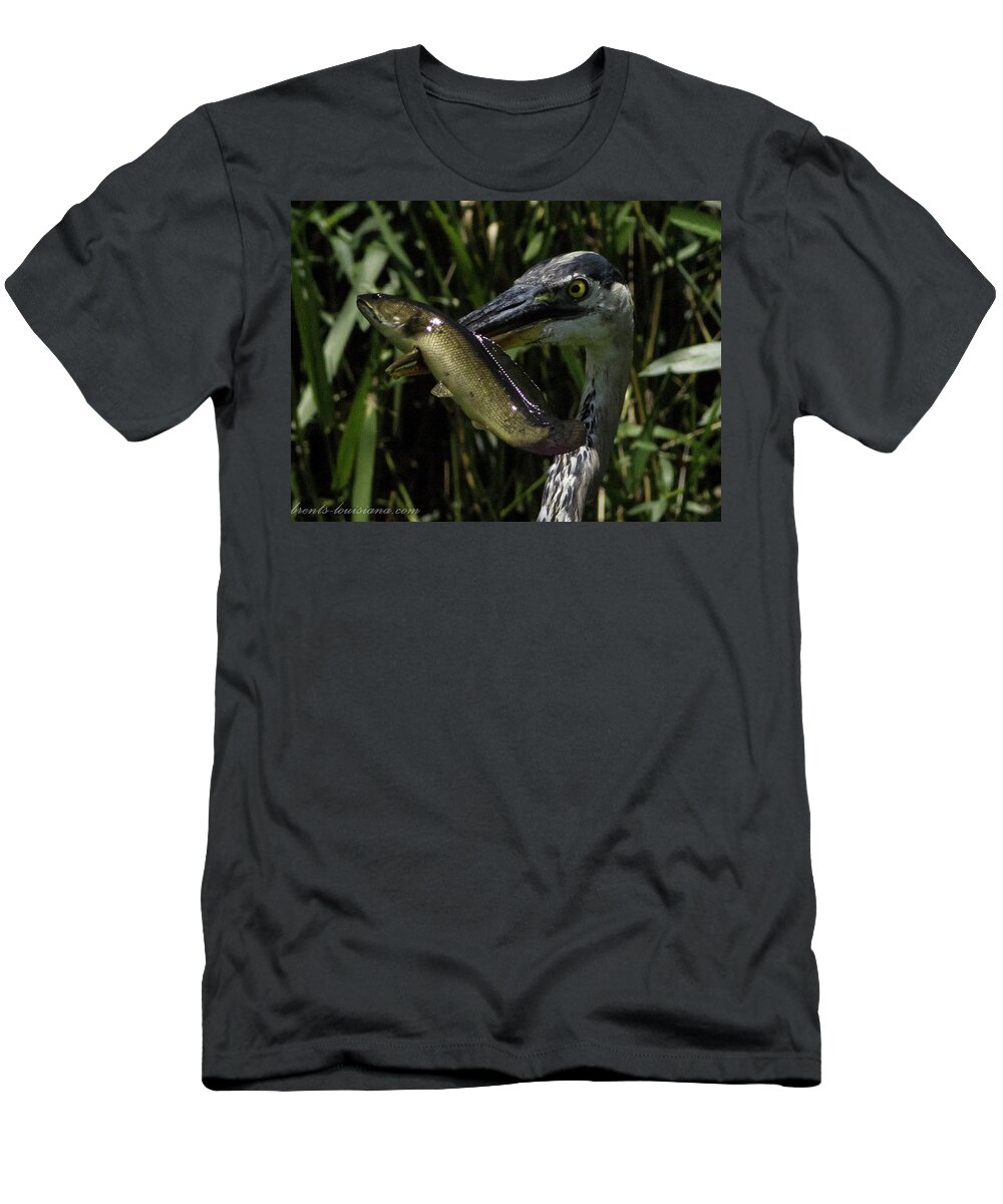 Great Blueheron T-Shirt featuring the photograph Great Blue Heron with Choupique by Brent Bordelon