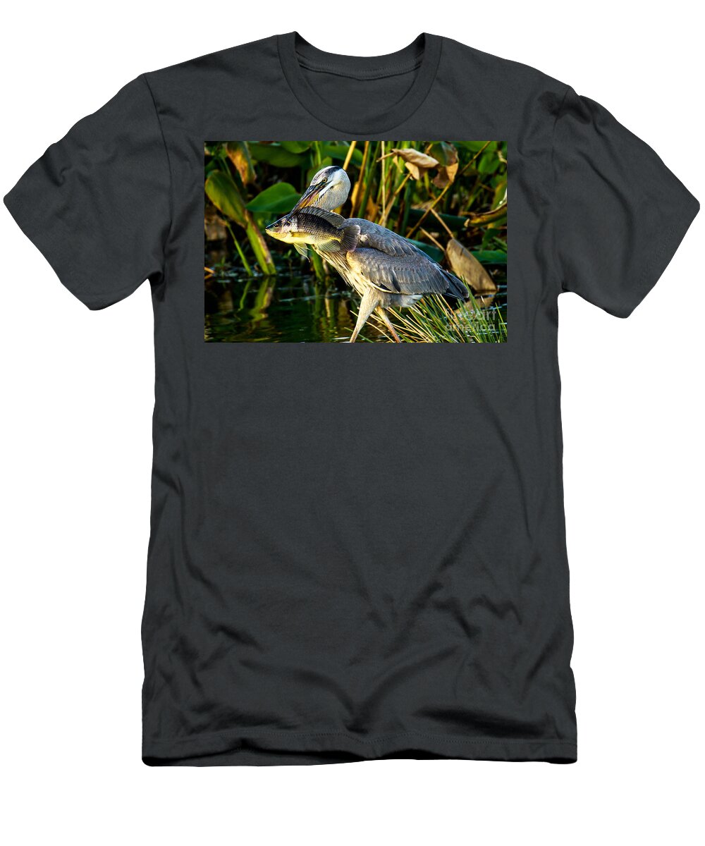 Great Blue Heron T-Shirt featuring the photograph Great Blue Heron with Fish by Ben Graham