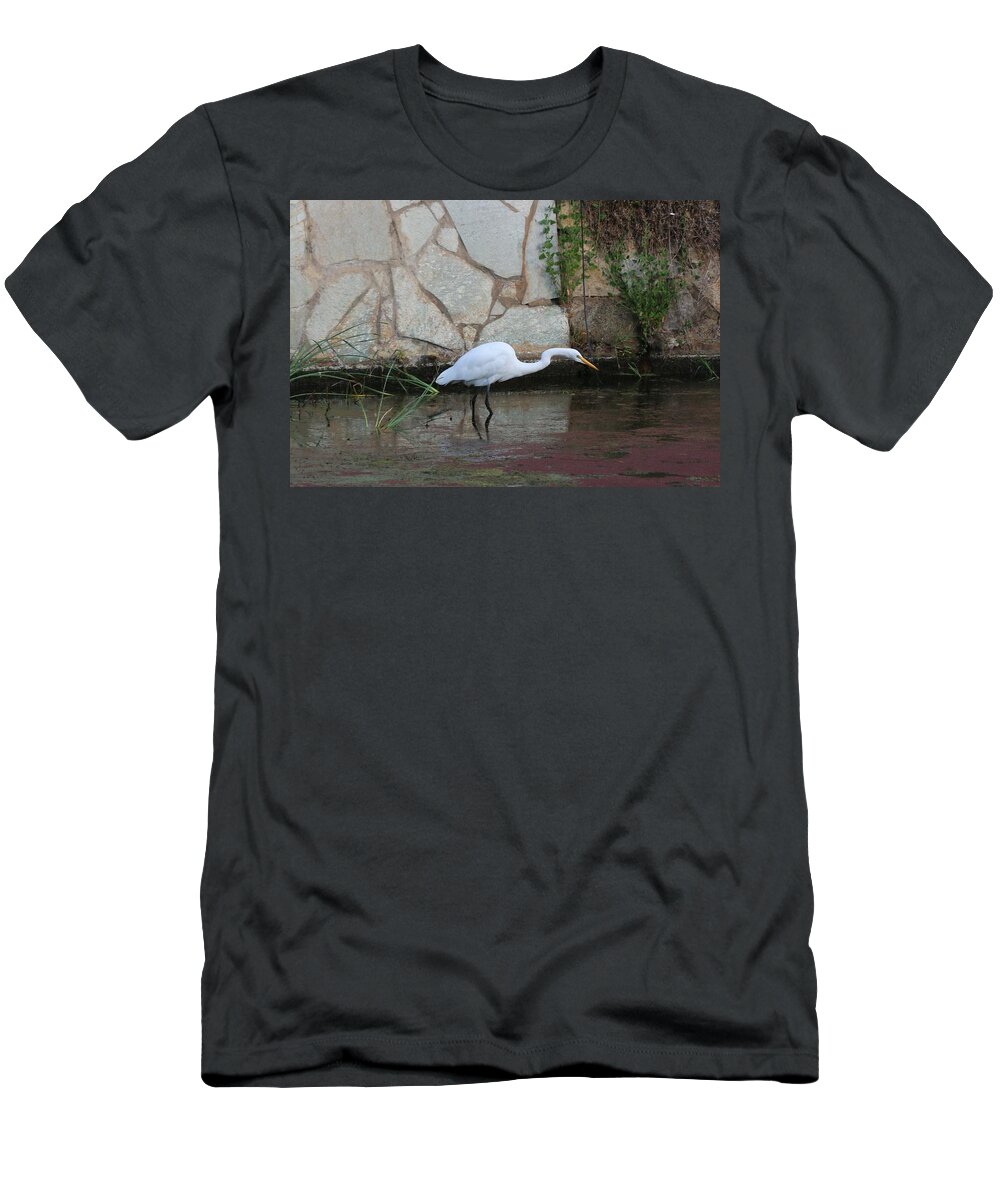 Great Egret T-Shirt featuring the photograph Great Egret - 4 by Christy Pooschke