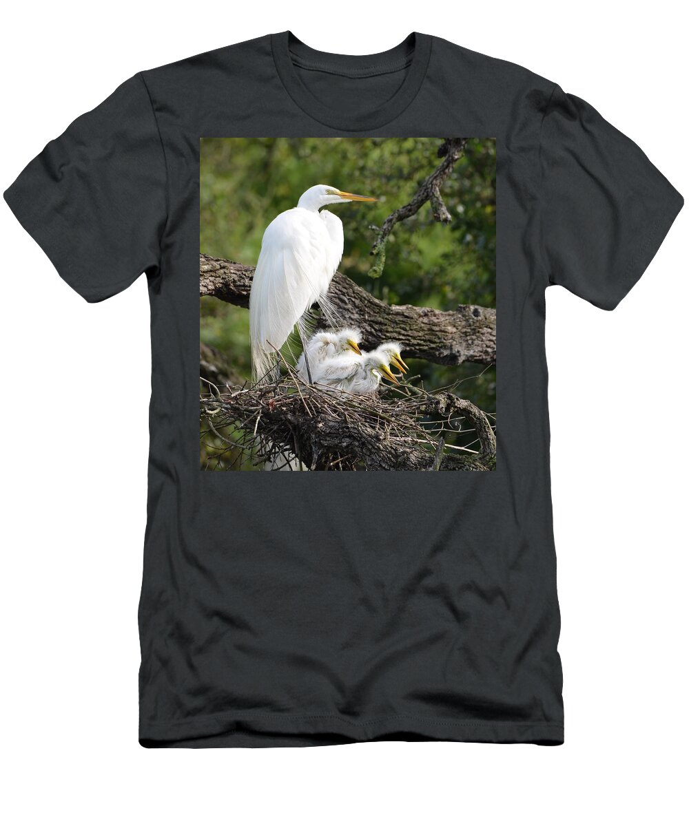 St. Augustine T-Shirt featuring the photograph Great Egret Family by Richard Bryce and Family