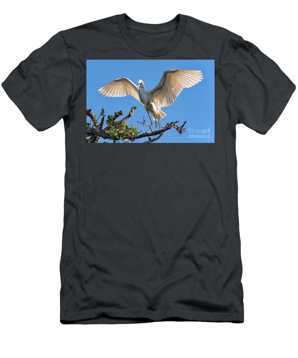 Egrets T-Shirt featuring the photograph Perfect Landing by DB Hayes