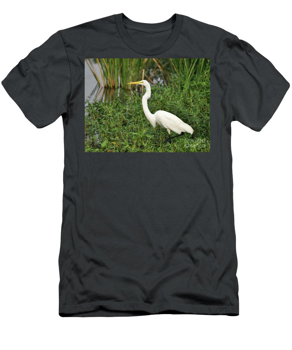 Great Egret T-Shirt featuring the photograph Great Egret Walking by Al Powell Photography USA