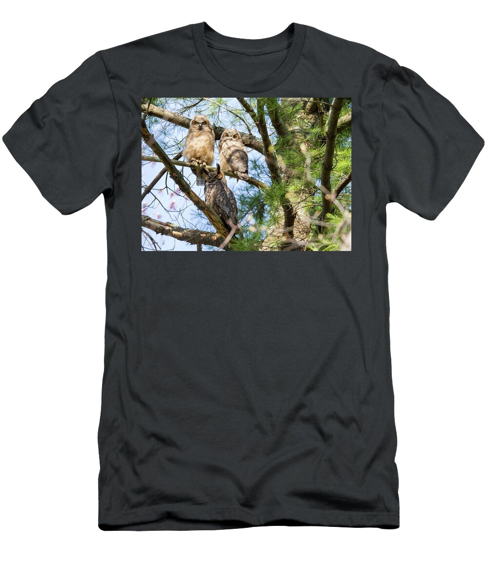 Great Horned Owl T-Shirt featuring the photograph Great Horned Owl Family by Darryl Hendricks