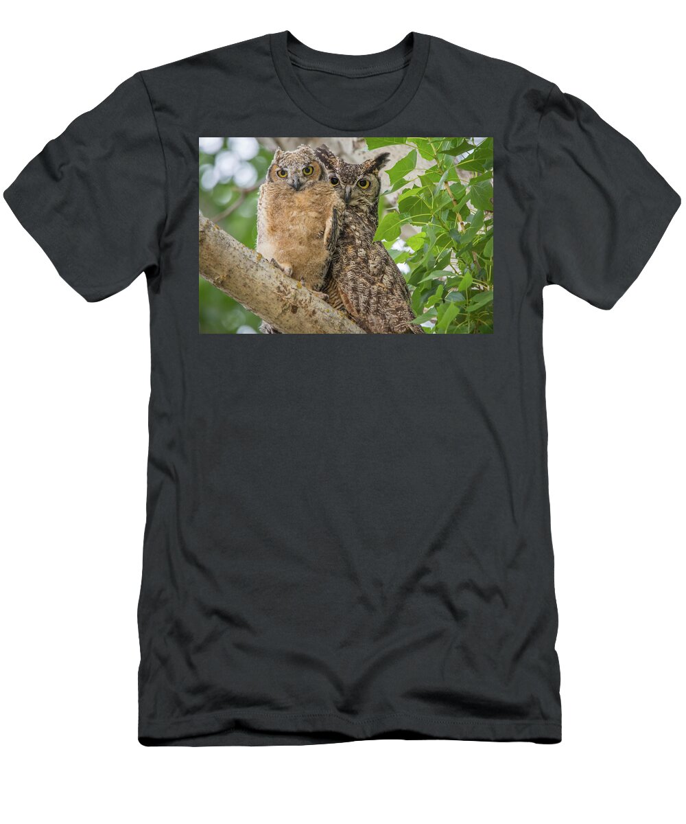 California T-Shirt featuring the photograph Great Horned Owl Mom and Chick by Marc Crumpler