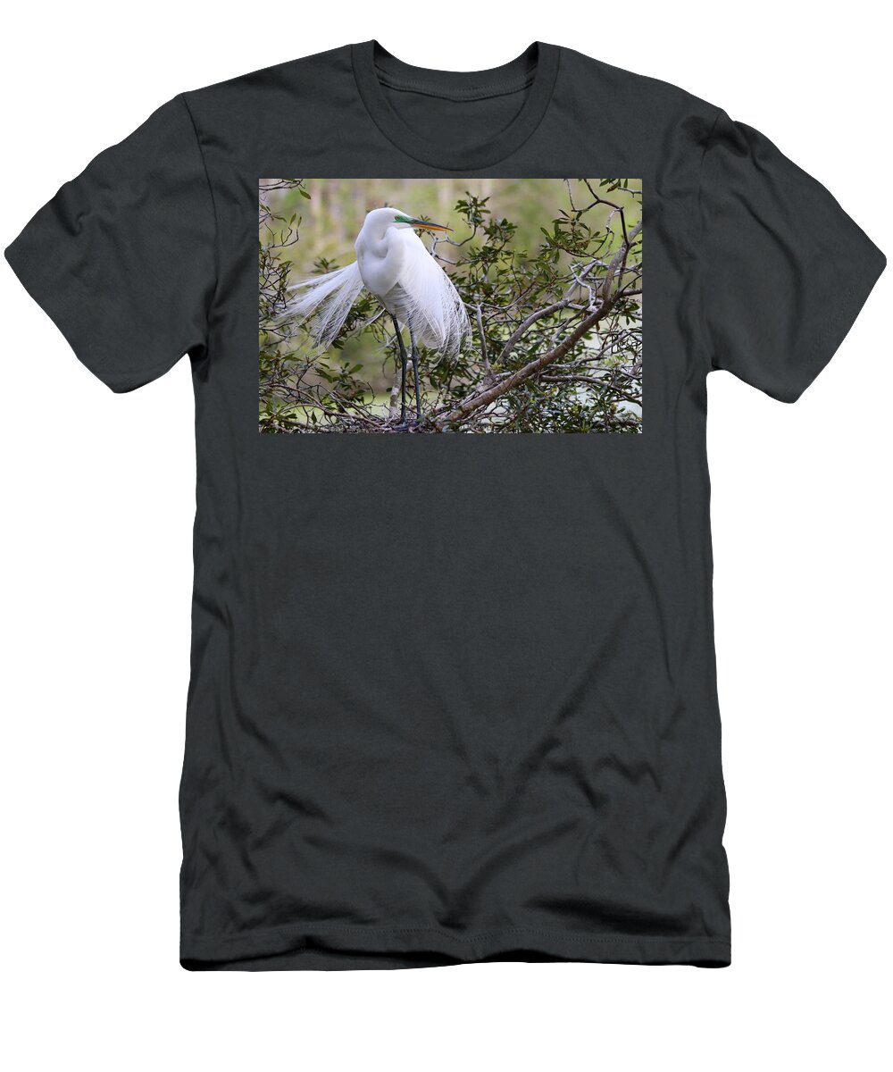 Carol R Montoya T-Shirt featuring the photograph Great White Egret by Carol Montoya