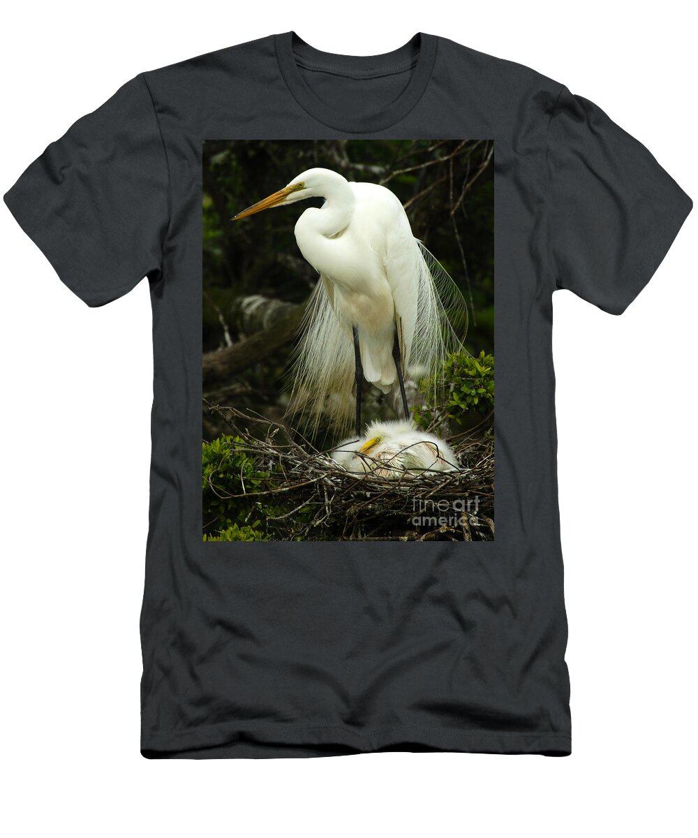 Majestic Great Egret T-Shirt featuring the photograph Majestic Great White Egret High Island Texas 3 by Bob Christopher