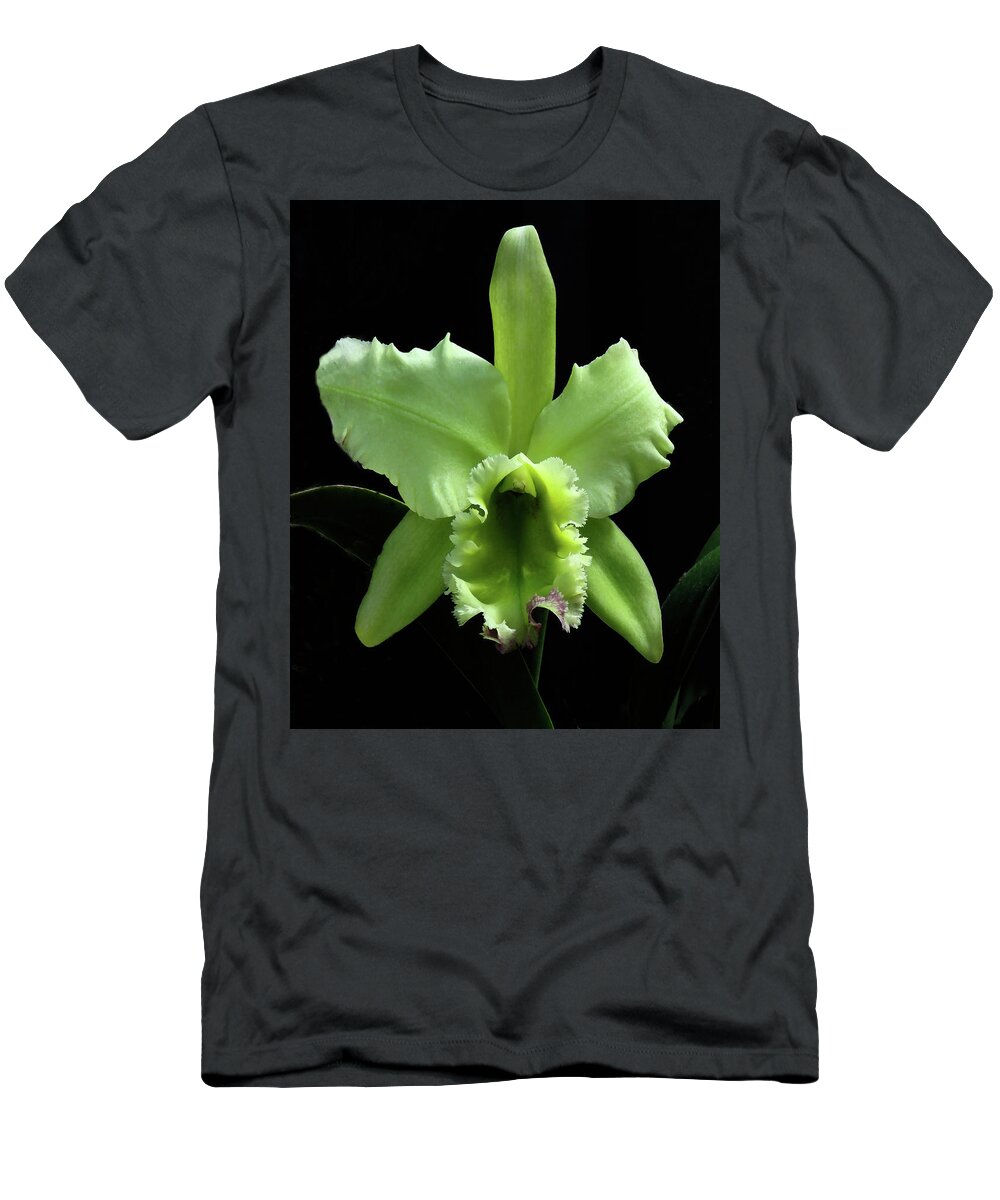 Orchid T-Shirt featuring the photograph Green Cattleya by Rosalie Scanlon