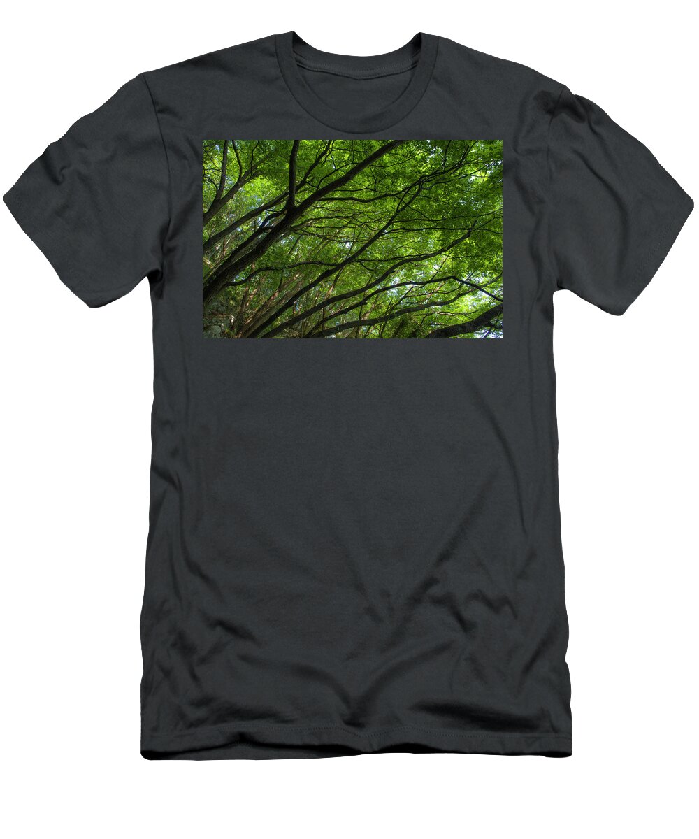 Tree T-Shirt featuring the photograph Green forest by Nicola Aristolao