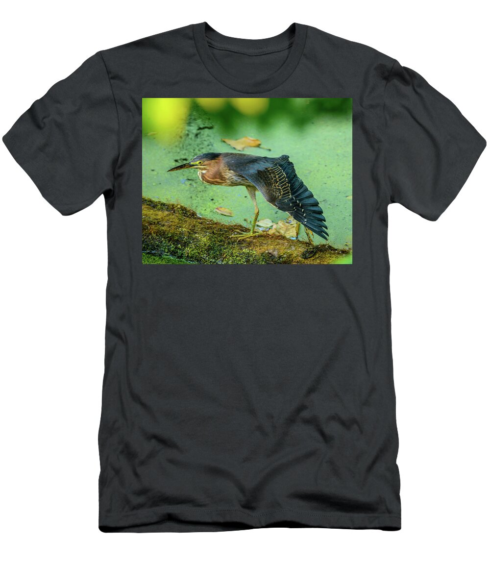 Green Heron T-Shirt featuring the photograph Green Heron Wing by Jerry Cahill