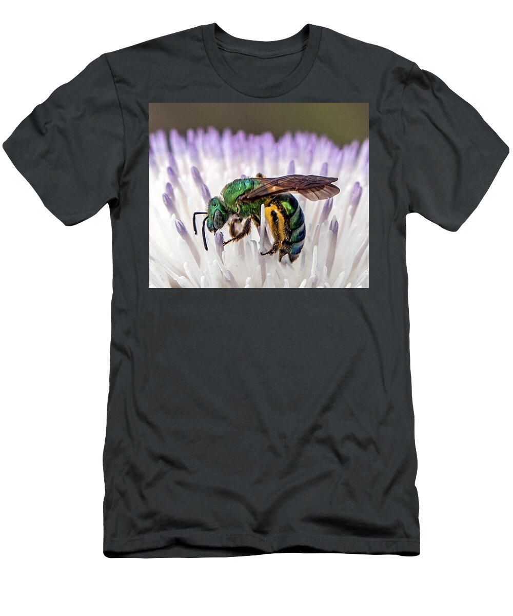Bee T-Shirt featuring the photograph Green Orchid Bee by William Bitman