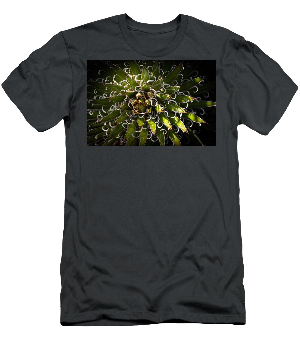 Pant T-Shirt featuring the photograph Green Plant by Catherine Lau