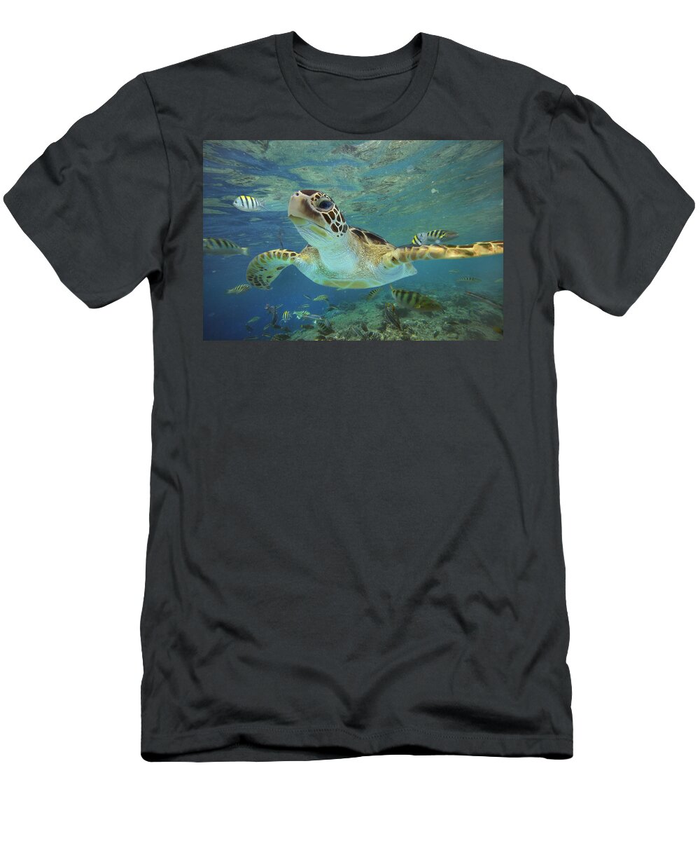 #faatoppicks T-Shirt featuring the photograph Green Sea Turtle Swimming by Tim Fitzharris