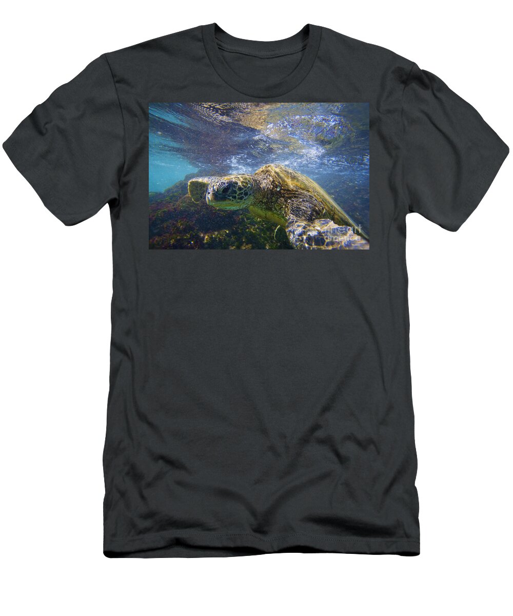 Animal Art T-Shirt featuring the photograph Green Sea Turtle in Makena by Ron Dahlquist - Printscapes