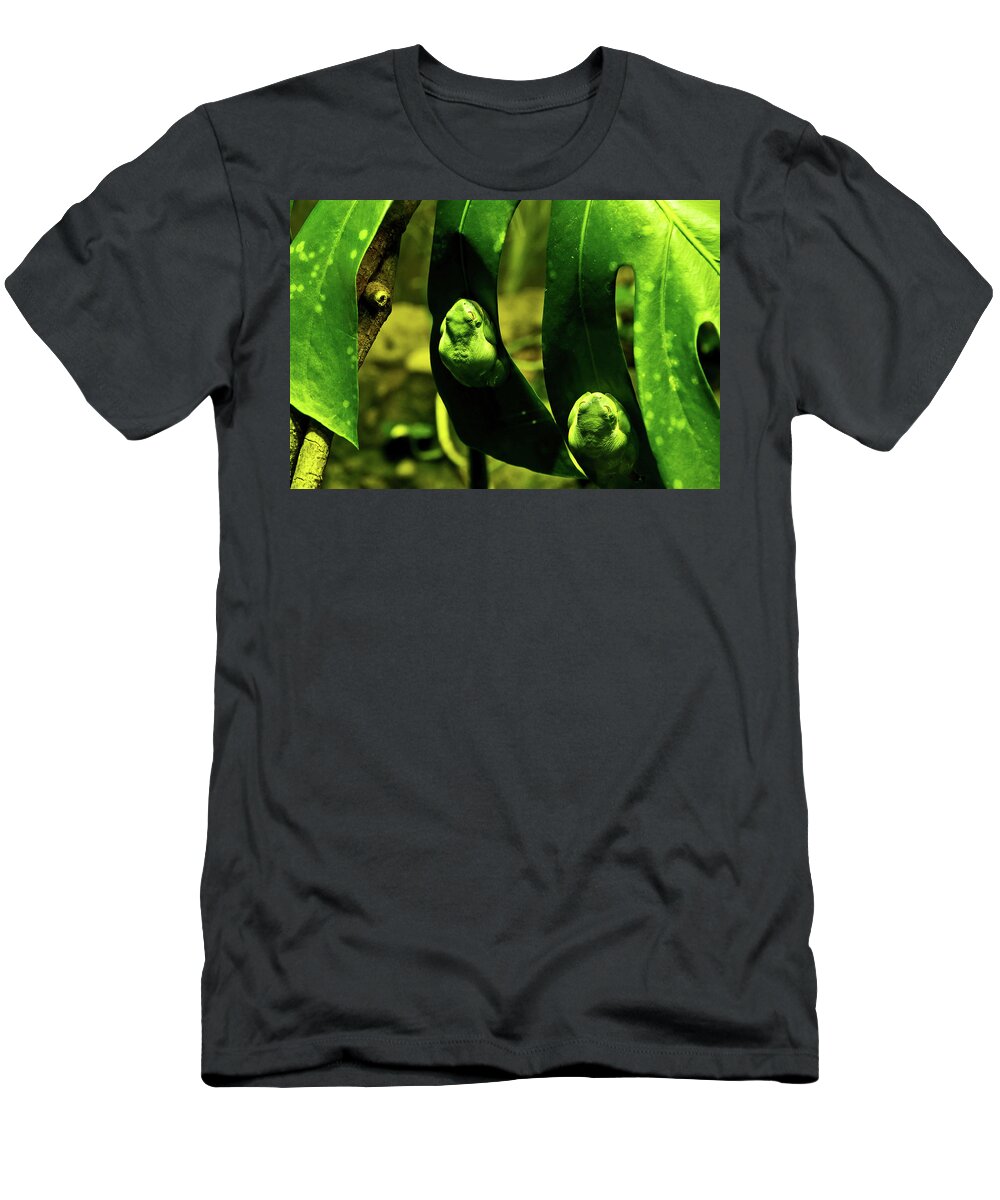 Green Tree Frog T-Shirt featuring the photograph Green Tree Frog by Miroslava Jurcik