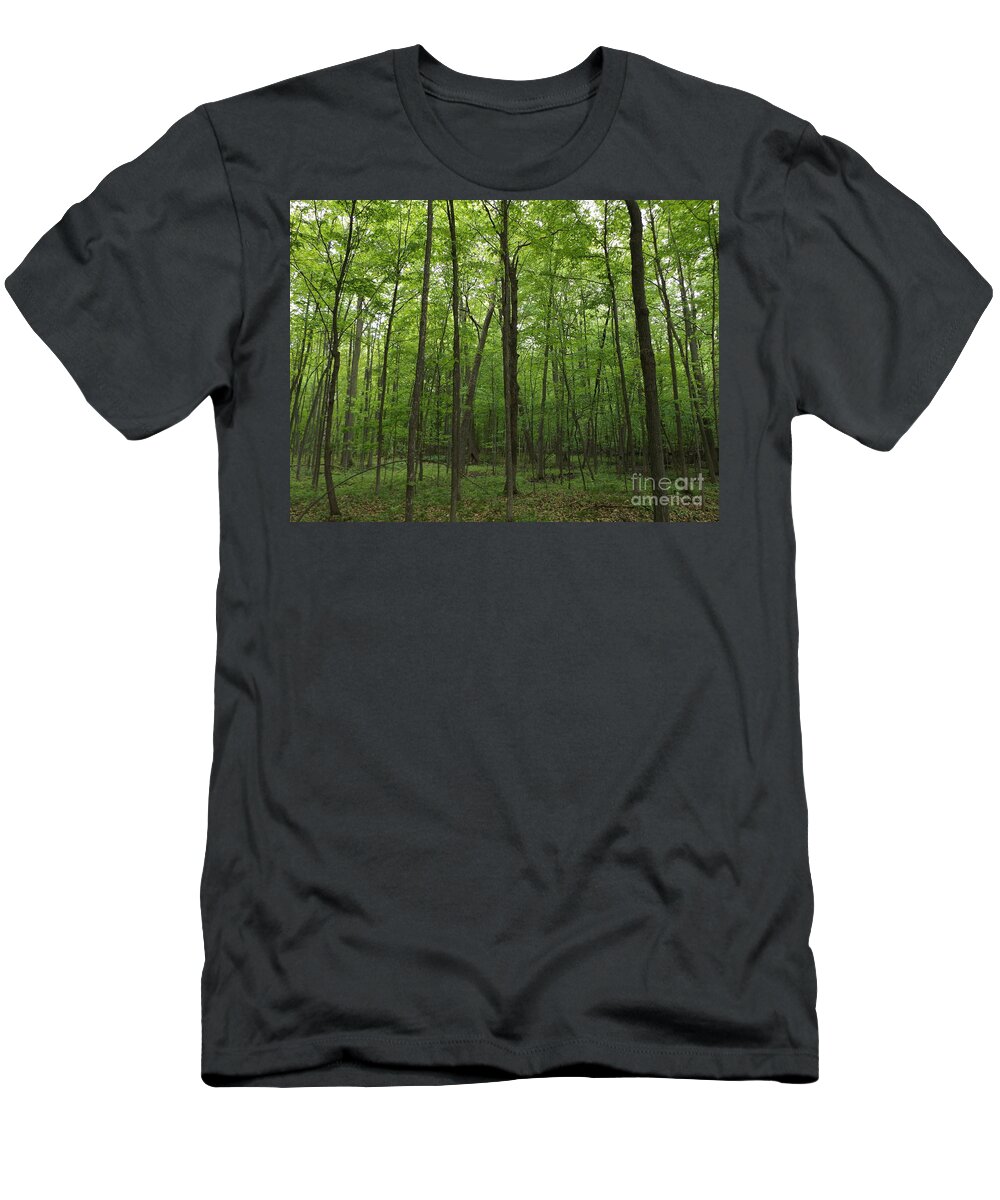Trees T-Shirt featuring the photograph Green Trees by Erick Schmidt