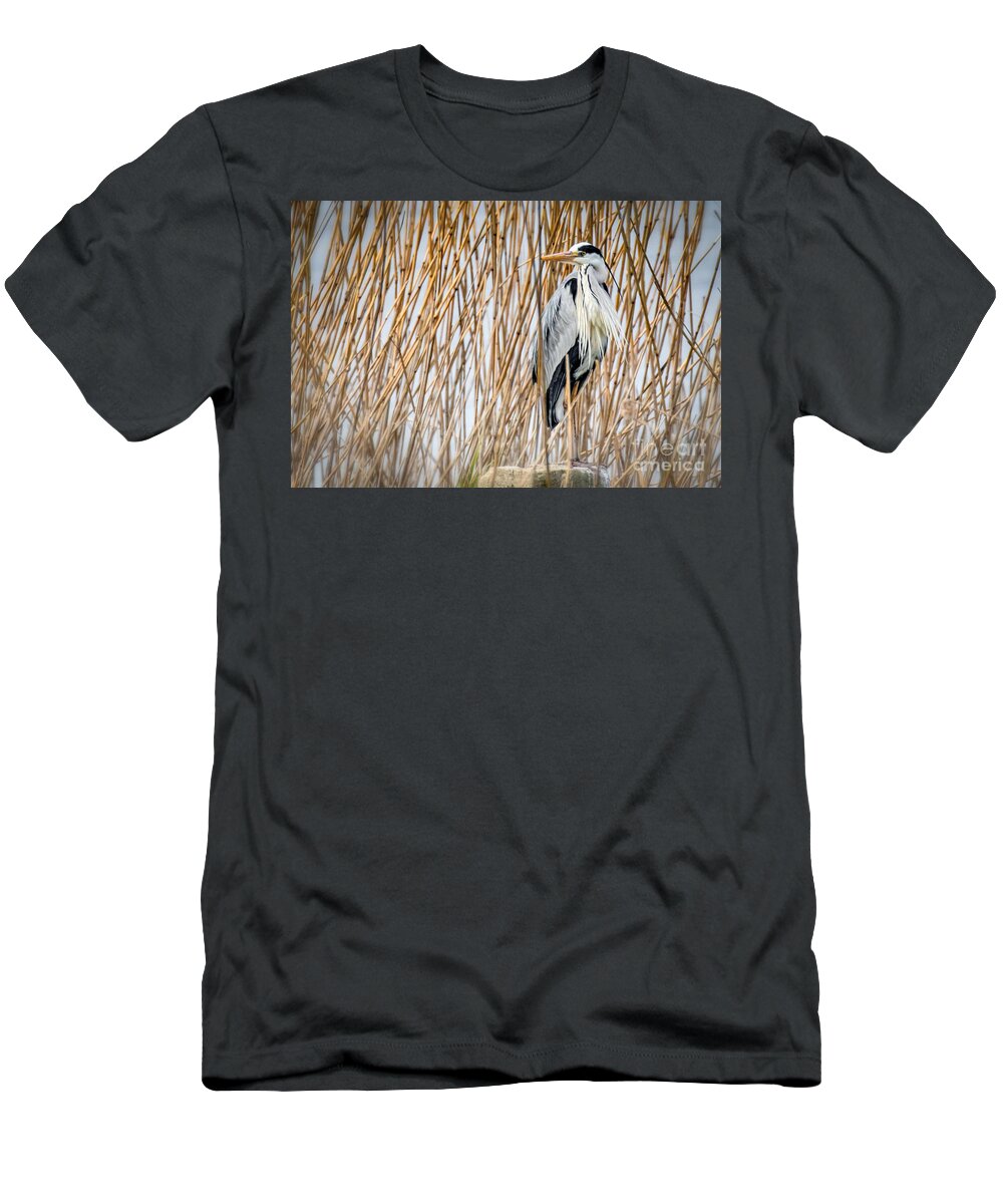 Animalia T-Shirt featuring the photograph Grey Heron by Jivko Nakev