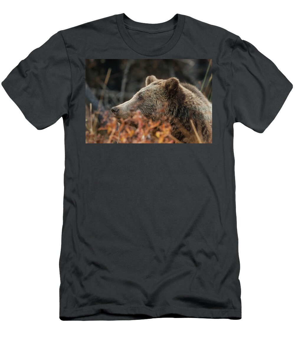 Mark Miller Photos T-Shirt featuring the photograph Grizzly Bear Portrait in Fall by Mark Miller