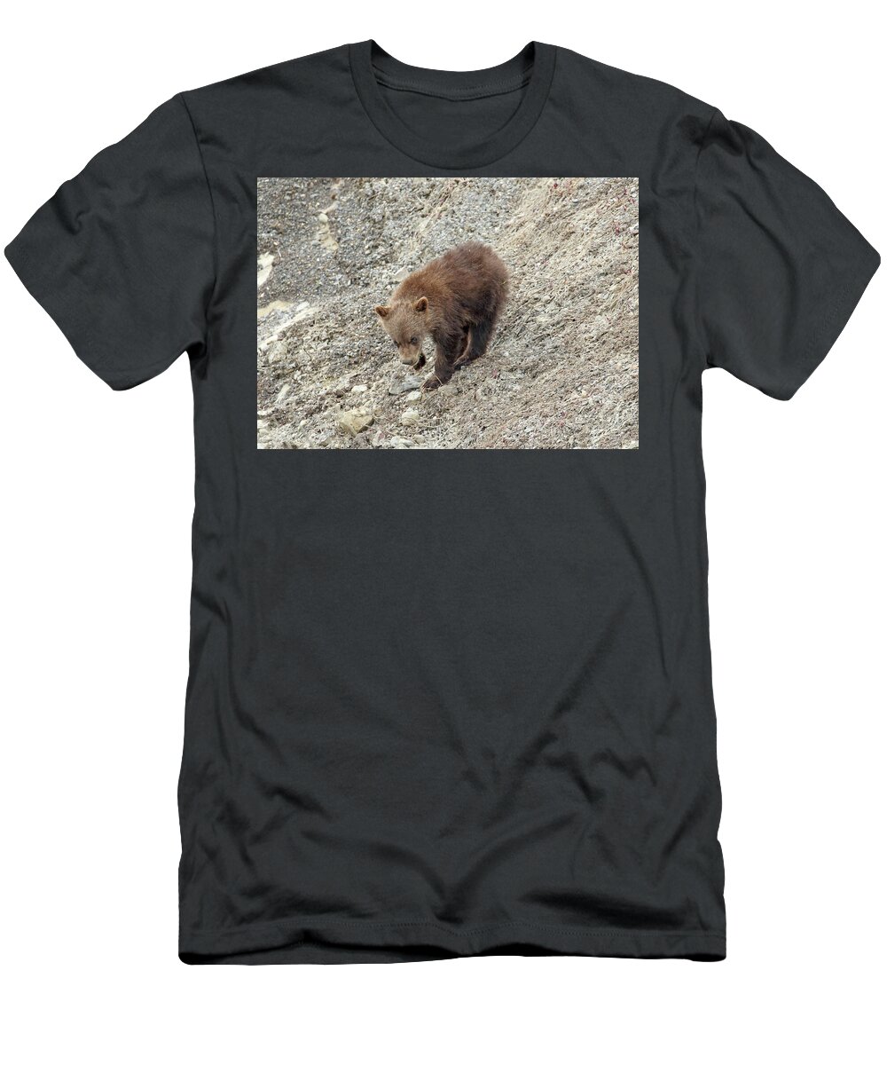 Cub T-Shirt featuring the photograph Grizzly Cub by Jean Clark