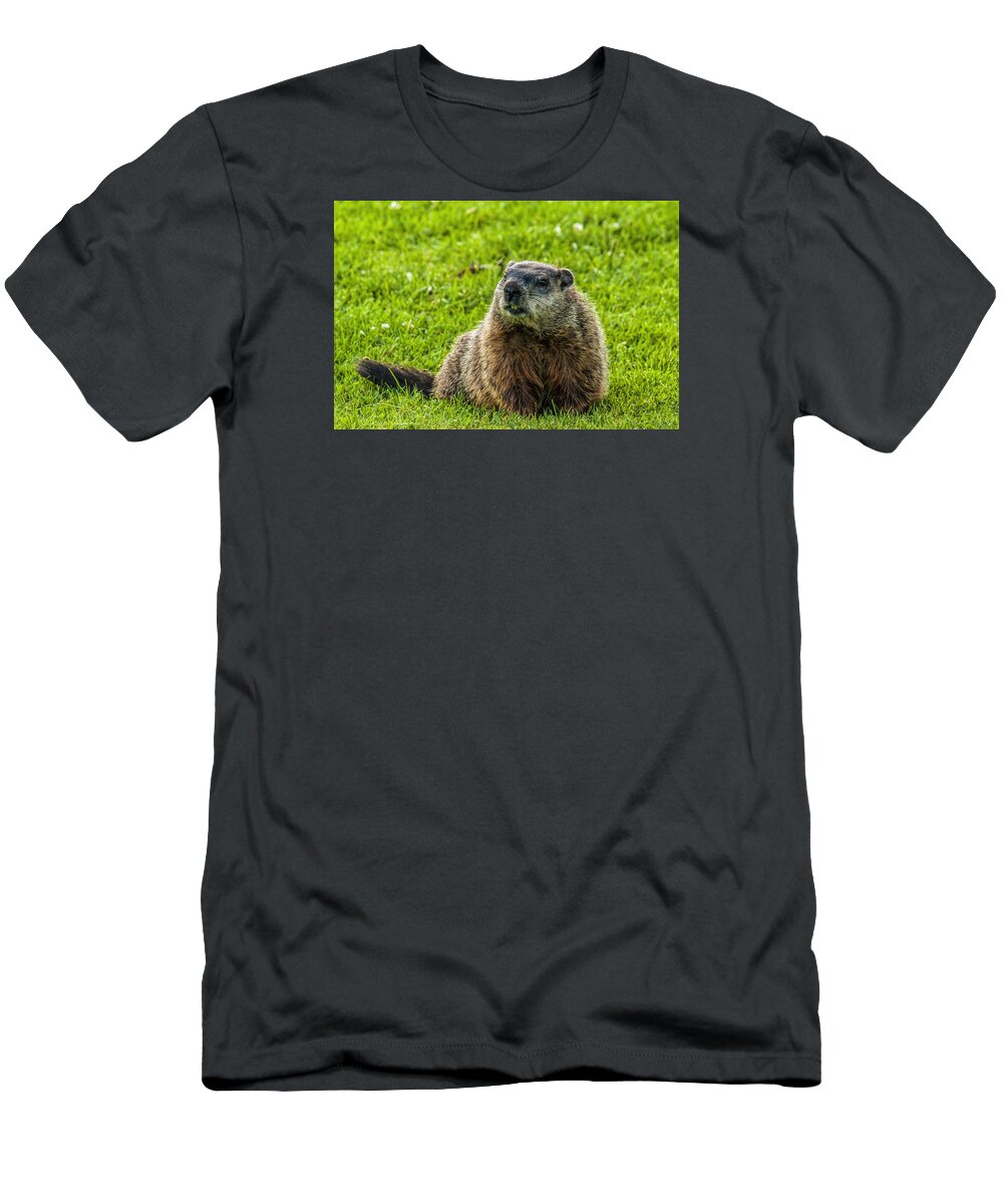 Mammal T-Shirt featuring the photograph Ground Hog by Cathy Kovarik