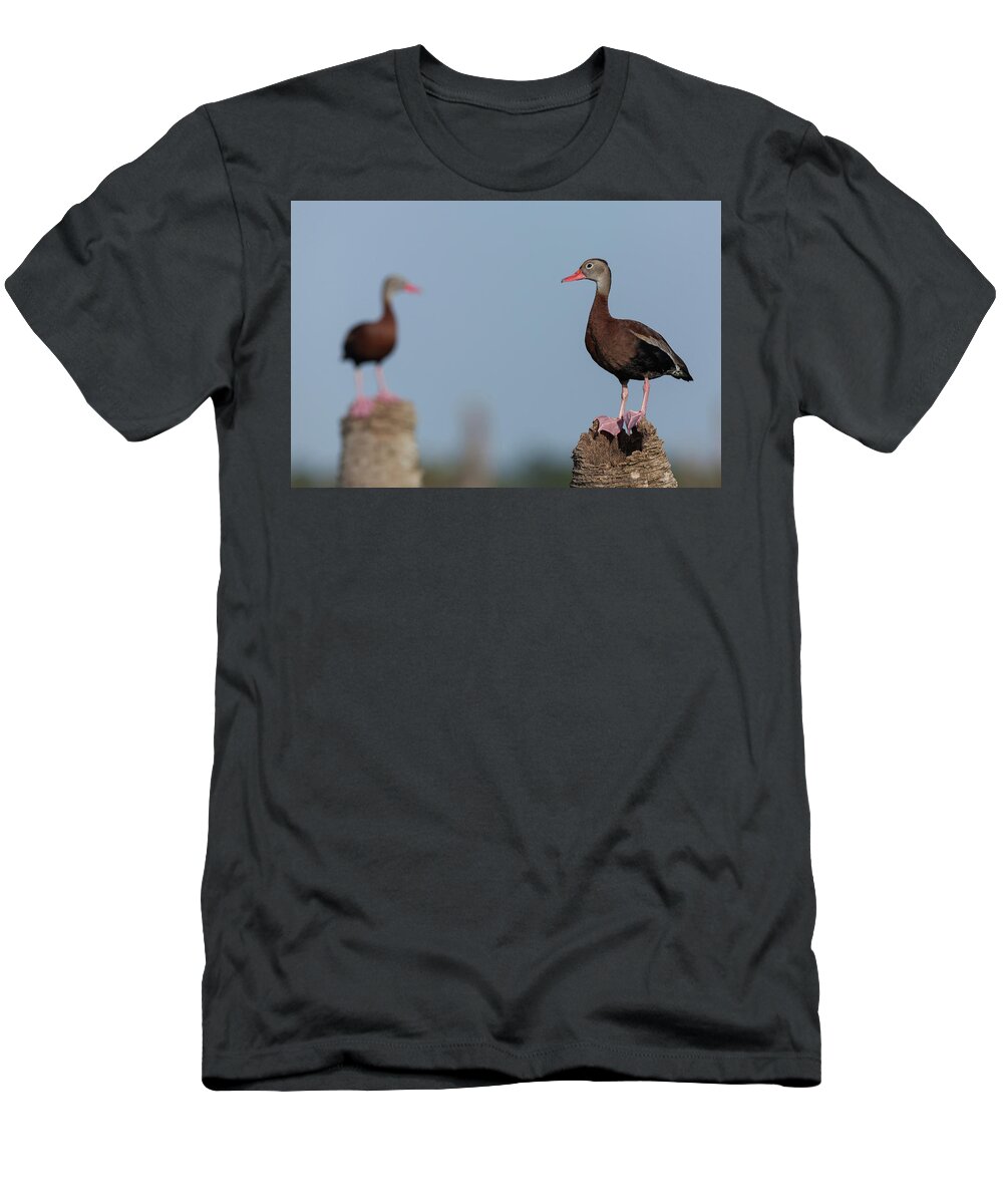 Black T-Shirt featuring the photograph Guarding the Wetlands by David Watkins