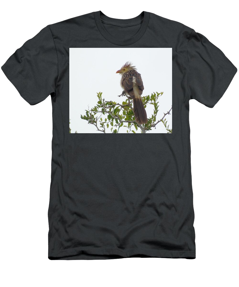 Nature T-Shirt featuring the photograph Guira cuckoo by Silvana Miroslava Albano