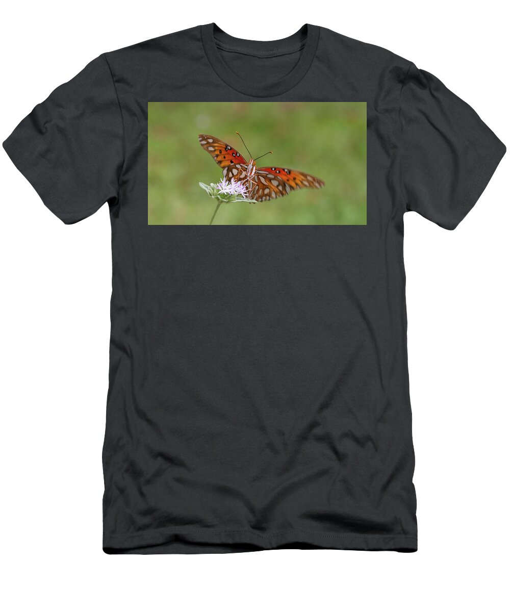 Butterfly T-Shirt featuring the photograph Gulf Fritillary on Elephantsfoot by Paul Rebmann