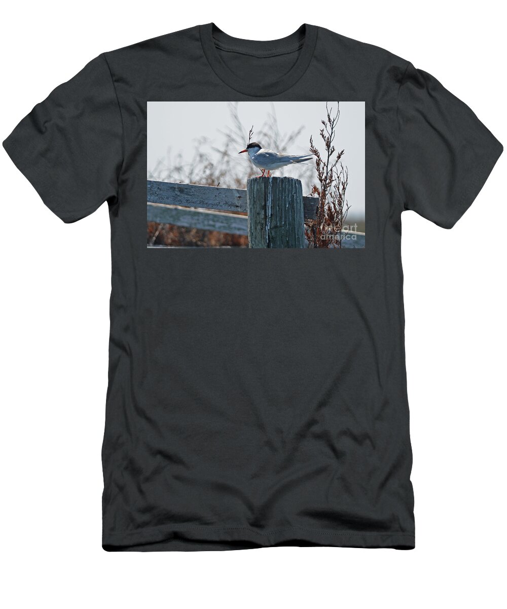 Bird T-Shirt featuring the photograph Gull #2 by Kathy Russell