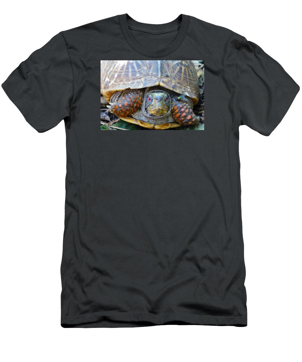 Turtle T-Shirt featuring the photograph Gulliver and Fly by Claudia Goodell