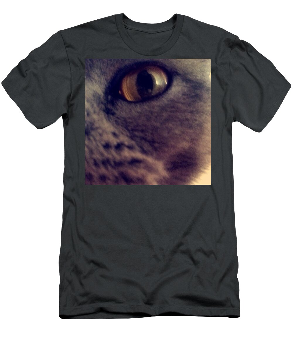 Kitty T-Shirt featuring the photograph H-eye There 👀 #kitty #macy 😸 by Lauren Harding 