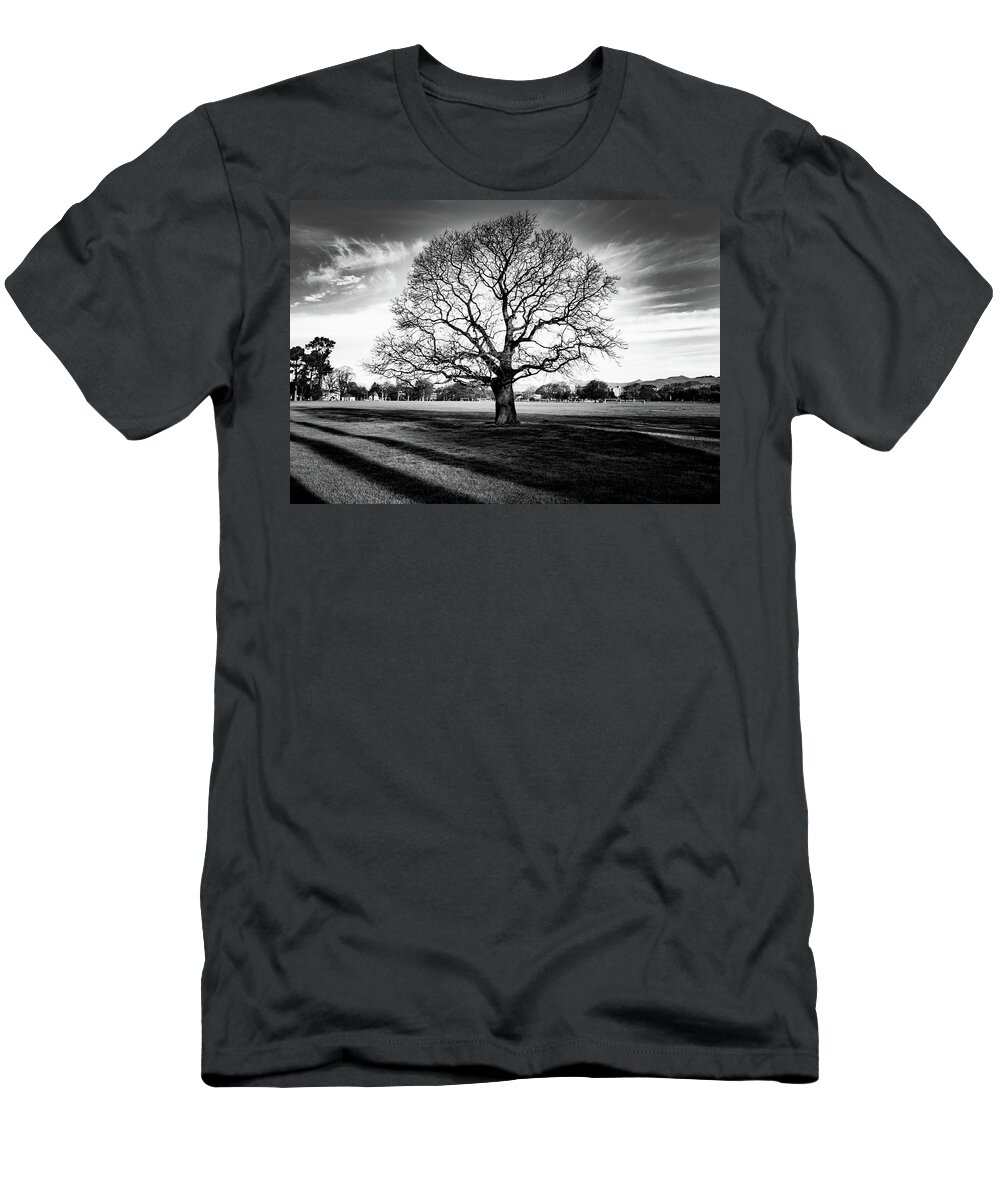 Tree T-Shirt featuring the photograph Hagley Tree Landscape by Roseanne Jones