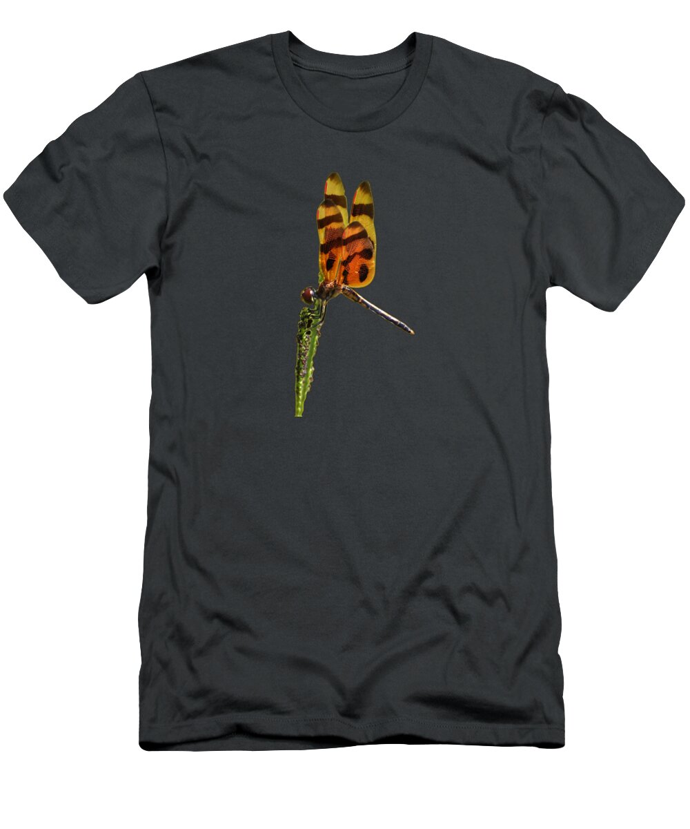 Dragonfly T-Shirt featuring the photograph Halloween Pennant Dragonfly .png by Al Powell Photography USA