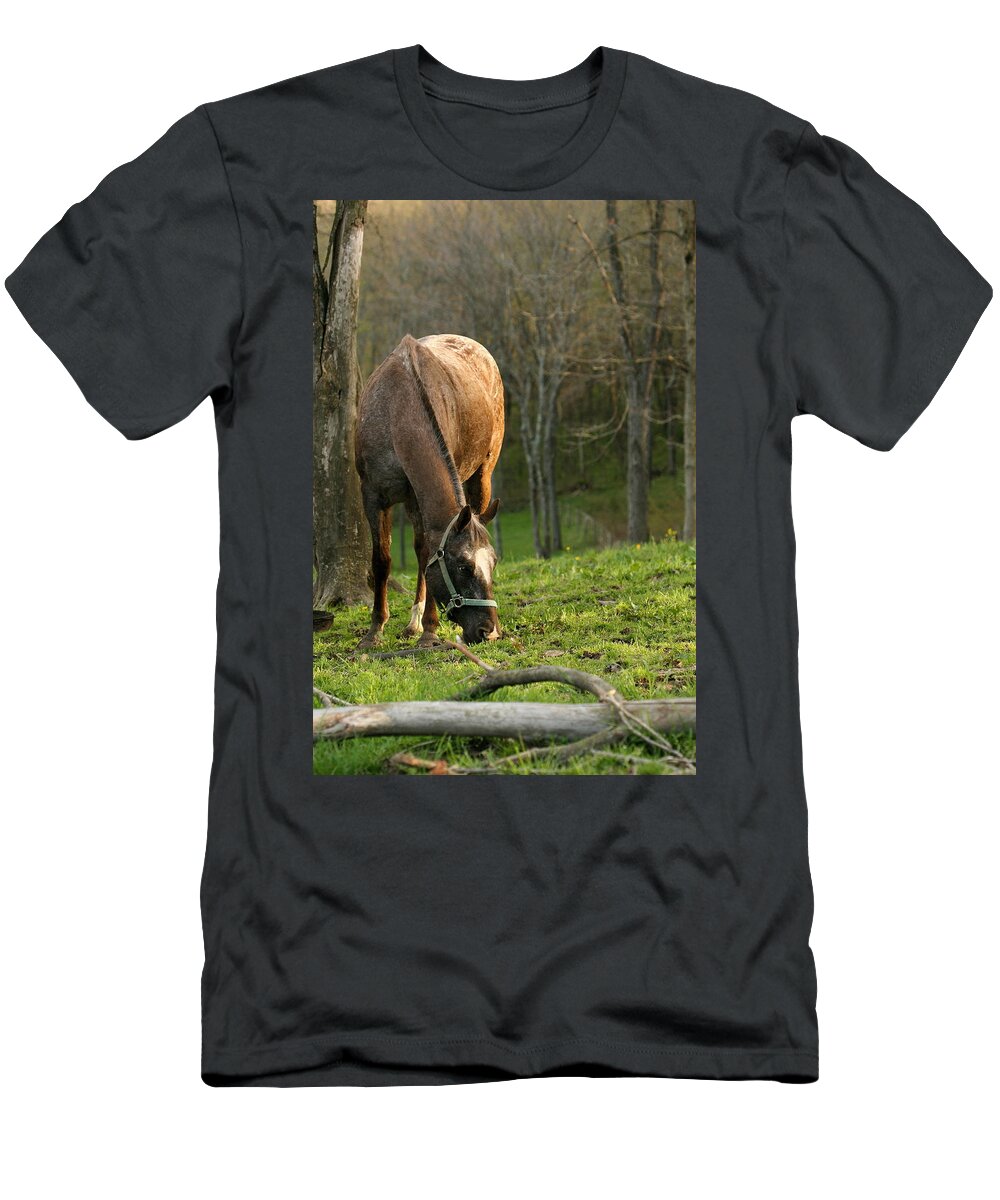 Pasture T-Shirt featuring the photograph Happy Grazing by Angela Rath