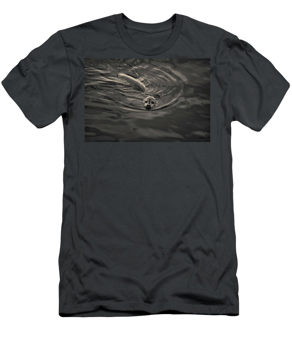 Seal T-Shirt featuring the photograph Harbor Seal IV Toned by David Gordon