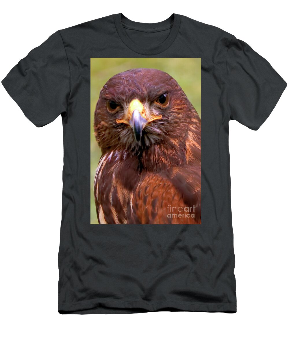 Bird T-Shirt featuring the photograph Harris Hawk Portriat by Stephen Melia