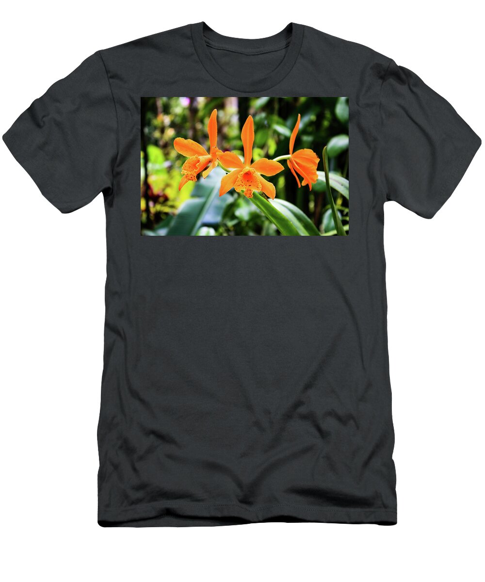Orchid T-Shirt featuring the photograph Hawaii Orchid 2 by Matt Sexton