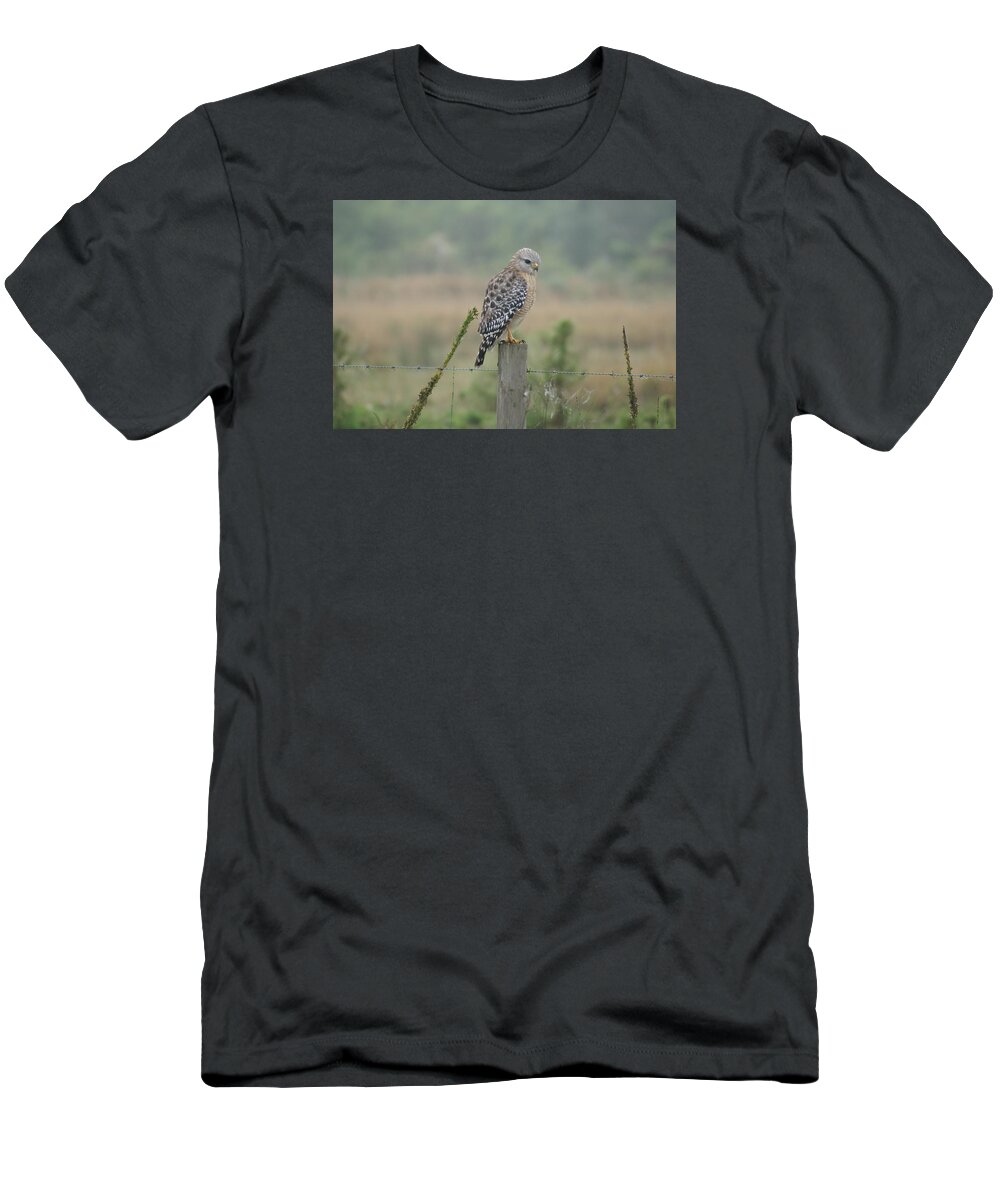 Hawk T-Shirt featuring the photograph Hawk Eye by Lindsey Floyd