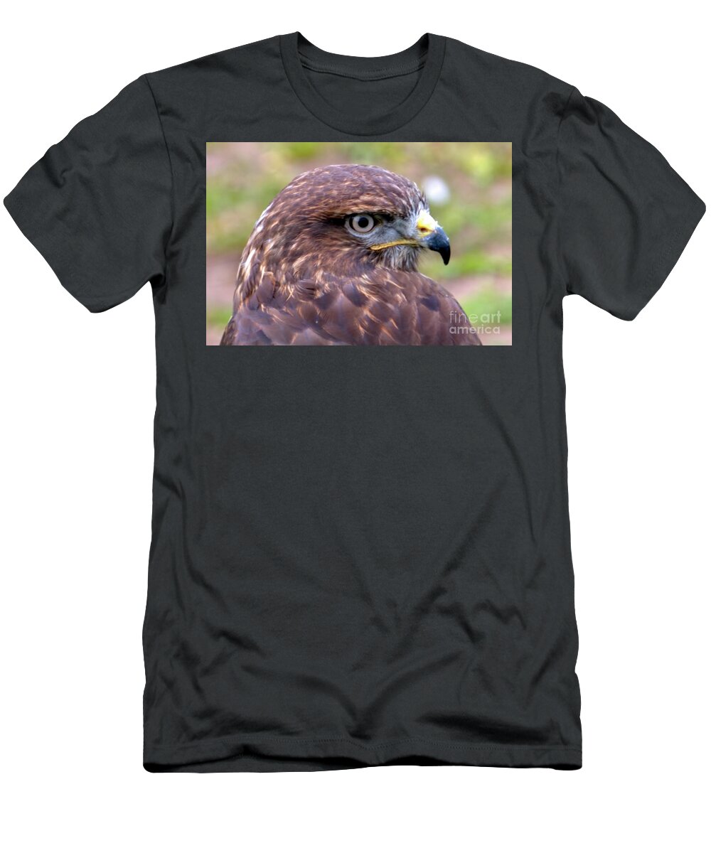 Bird T-Shirt featuring the photograph Hawks eye view by Stephen Melia
