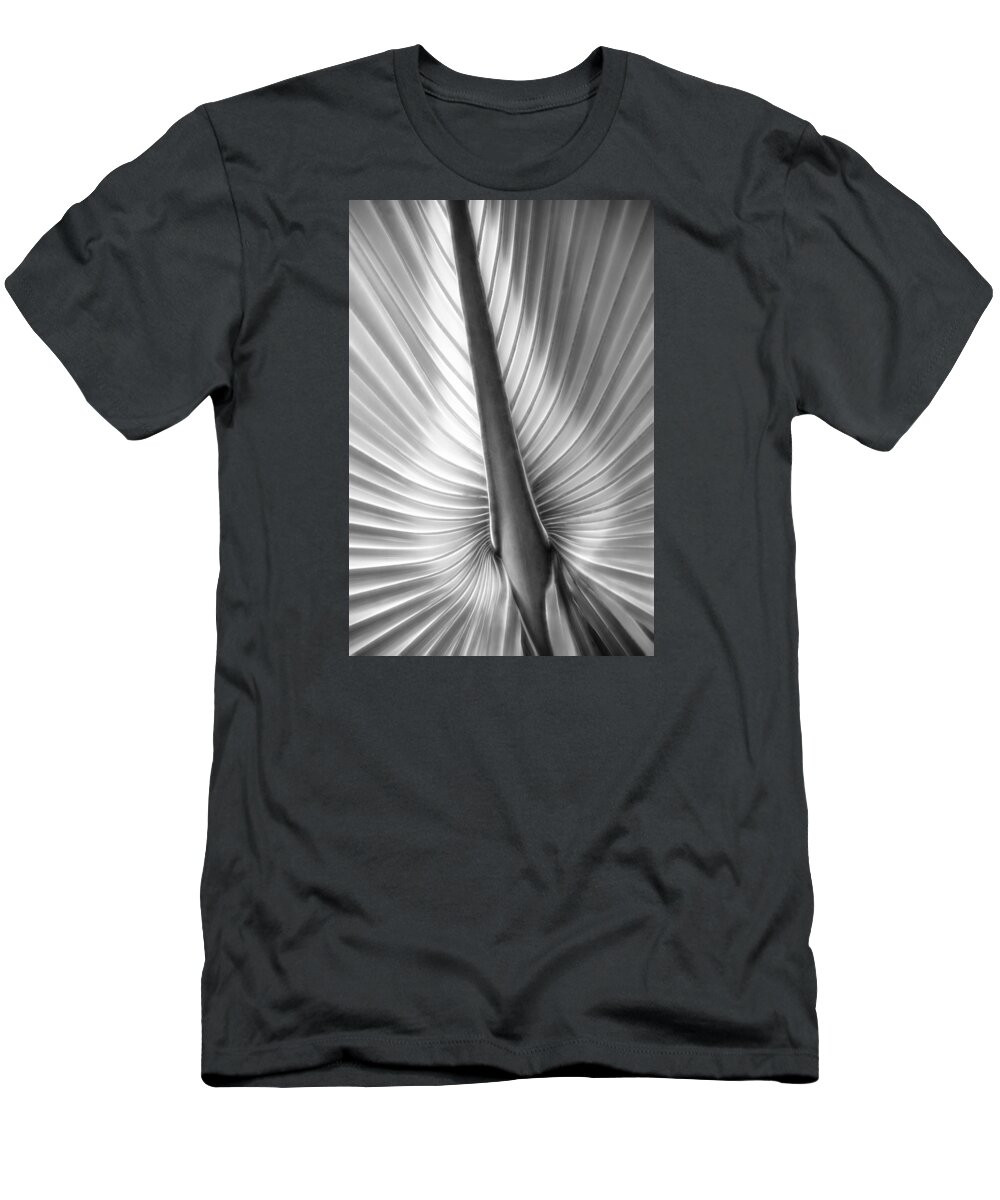 Palm T-Shirt featuring the photograph Heart of Palm by Mitch Spence