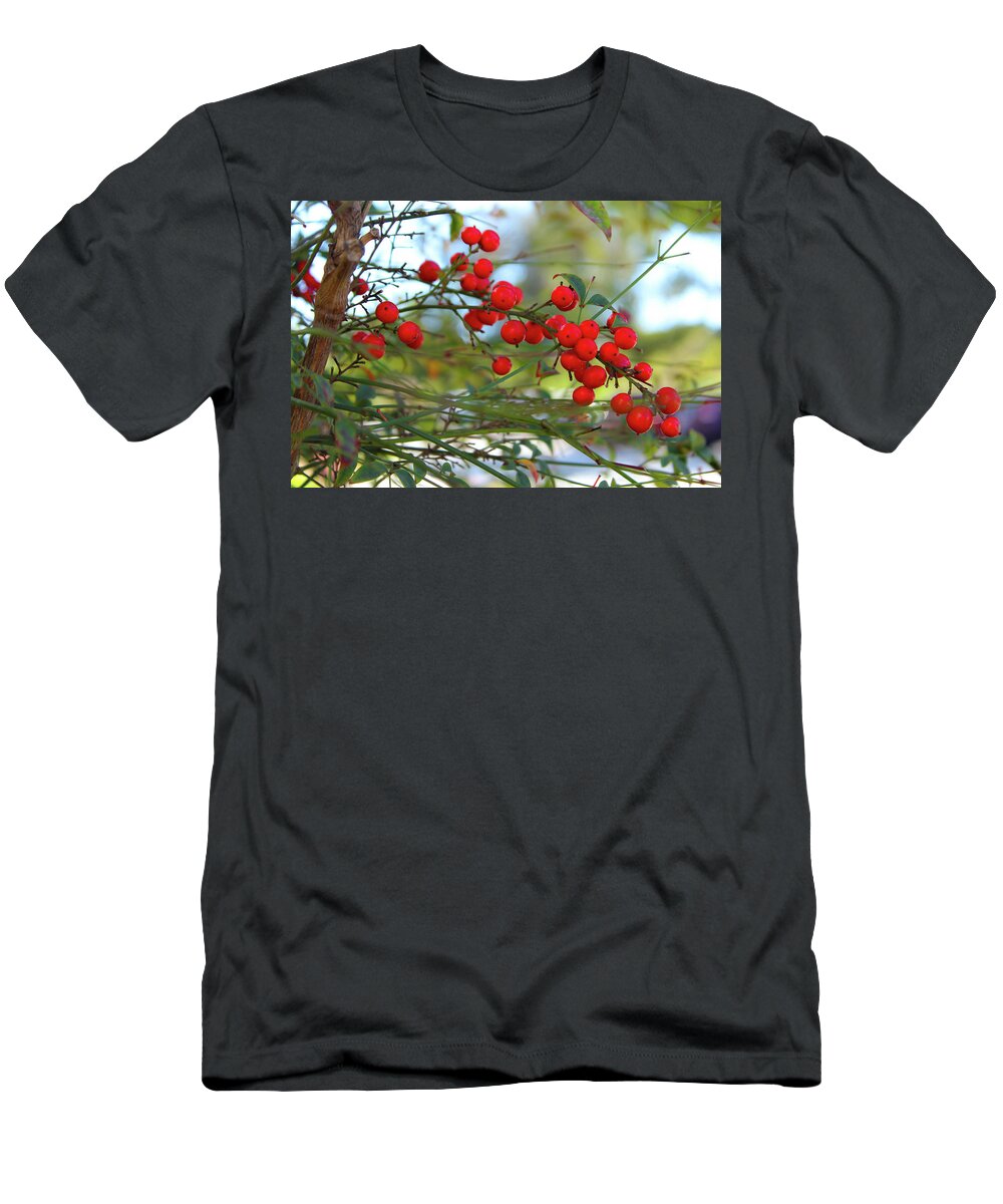 Nandina T-Shirt featuring the photograph Heavenly Bamboo by Alison Frank
