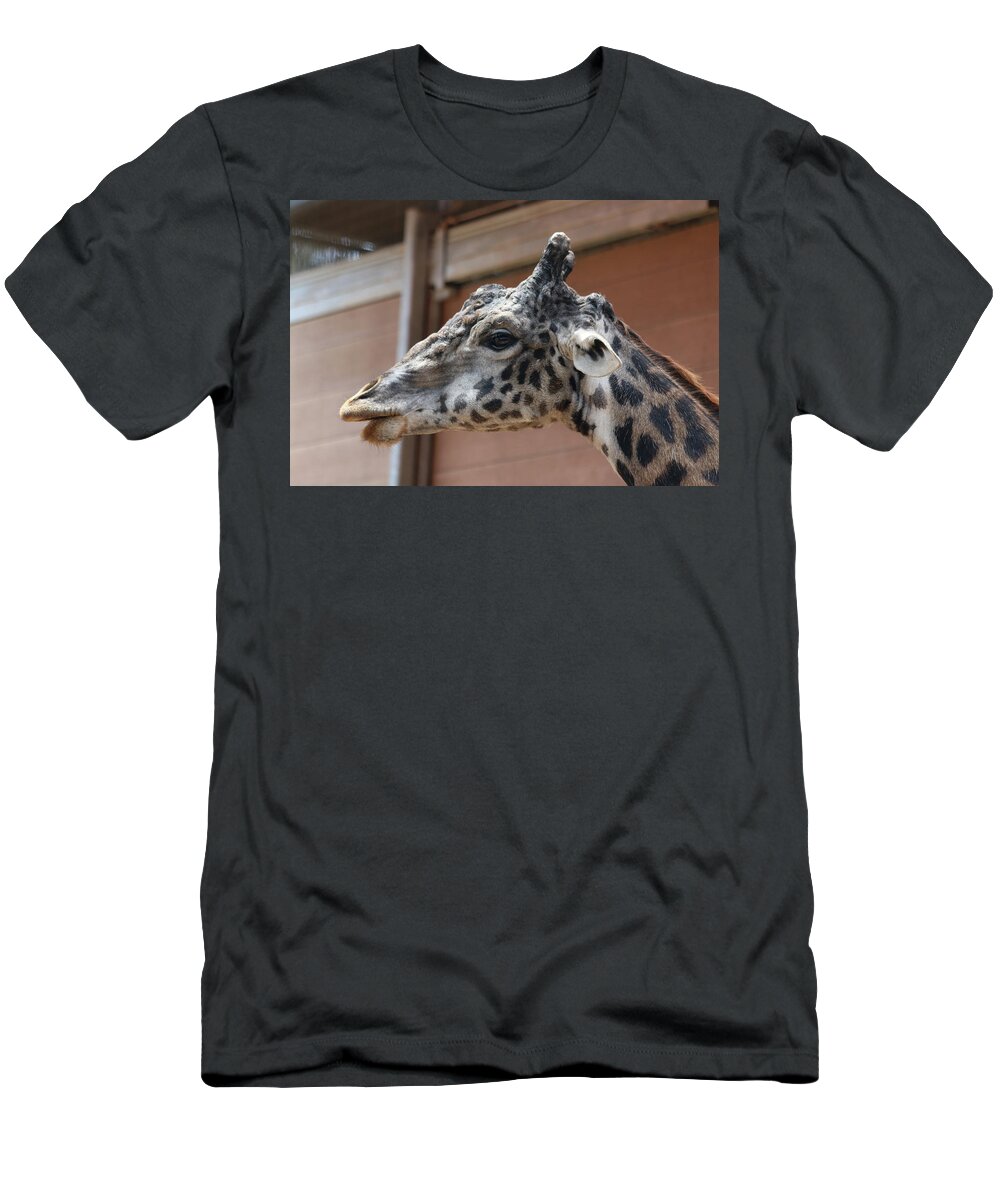 Giraffe T-Shirt featuring the photograph Hello by DiDesigns Graphics