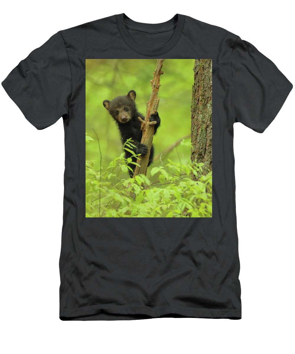 American Black Bear T-Shirt featuring the photograph Hello There by Coby Cooper