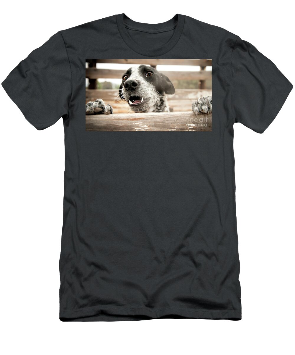 Dog T-Shirt featuring the photograph Help let me out by Barry Weiss