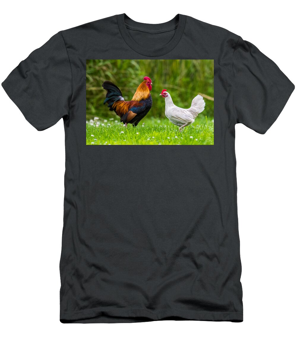 Hen And Chicks T-Shirt featuring the photograph Hen And Rooster by Paul Freidlund