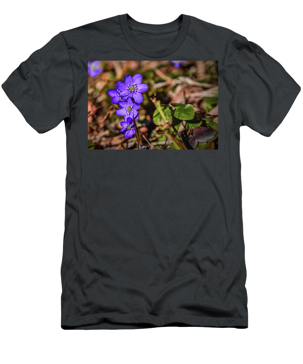 Hepatica Nobilis T-Shirt featuring the photograph Hepatica nobilis #h4 by Leif Sohlman