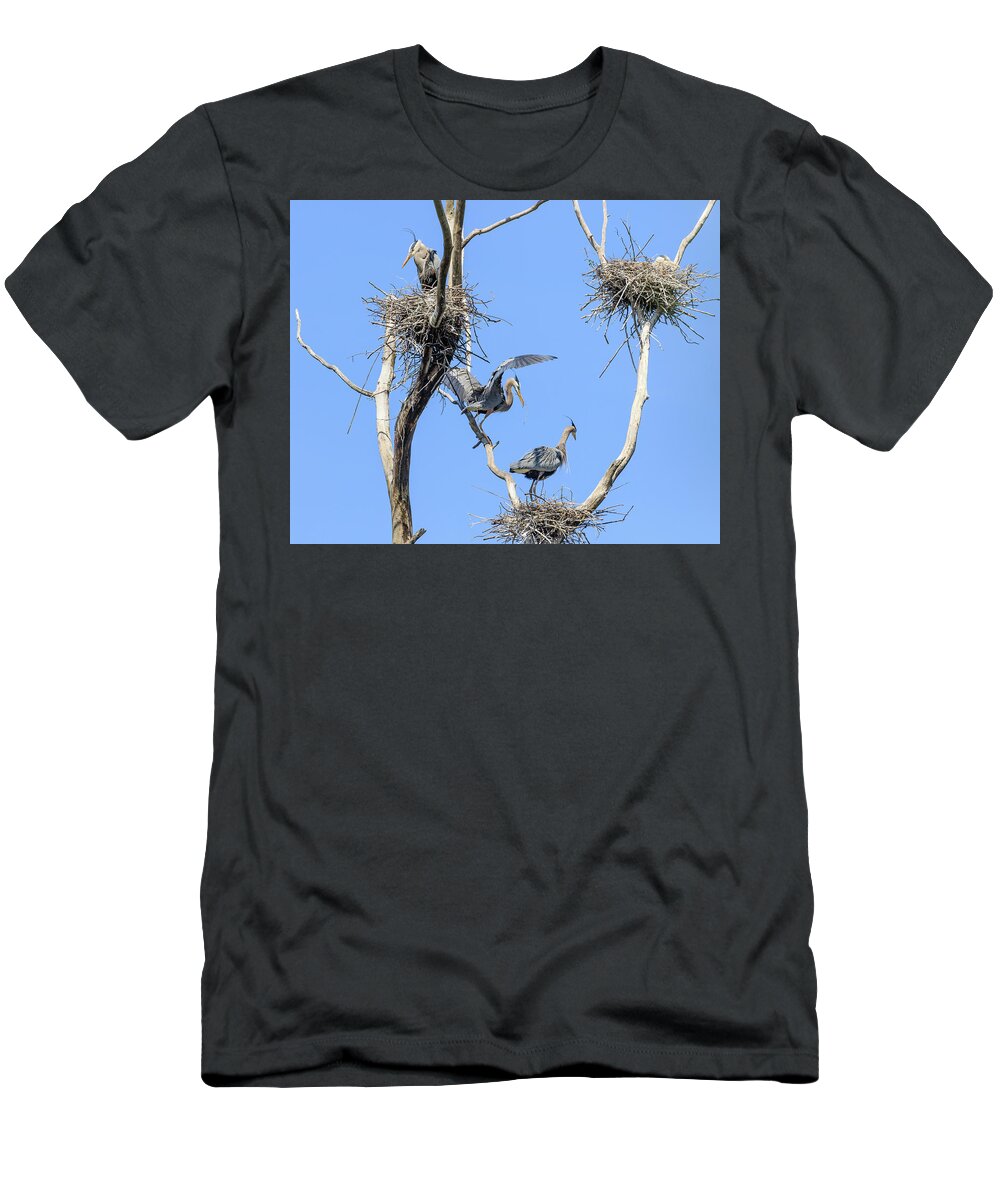 Great Blue Heron T-Shirt featuring the photograph Heron Courting 1 of 6 The Offering by Joni Eskridge