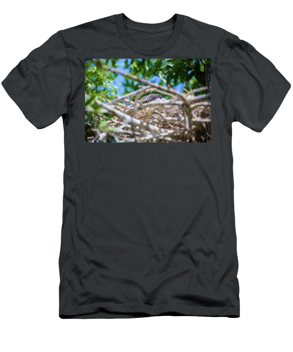 Wildlife T-Shirt featuring the photograph Heron Nest by Dillon Kalkhurst