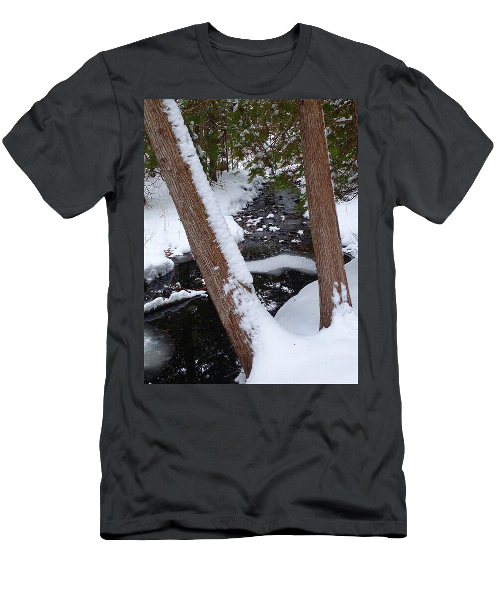 Hidden Creek T-Shirt featuring the photograph Hidden Creek at the Ridges by David T Wilkinson