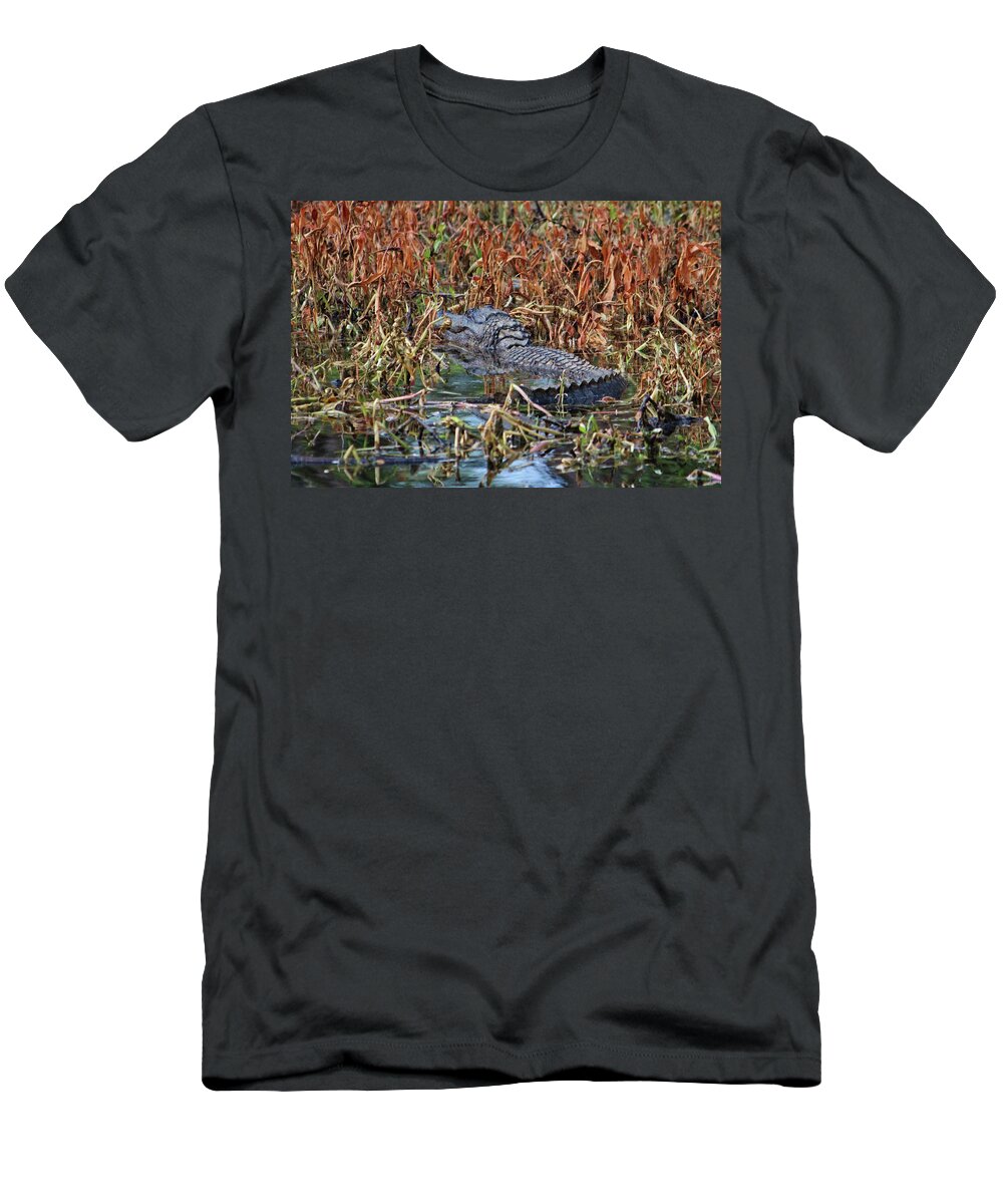 American Alligator T-Shirt featuring the photograph Hiding Spot For Alligator by Cynthia Guinn