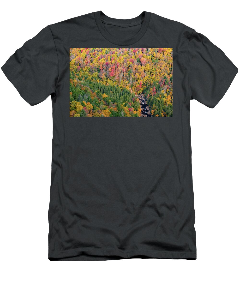 Blackwater Falls State Park T-Shirt featuring the photograph High on Autumn by C Renee Martin